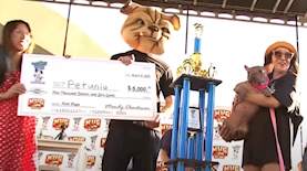 הכלבה המכוערת בעולם, צילום: מסך KSDK News